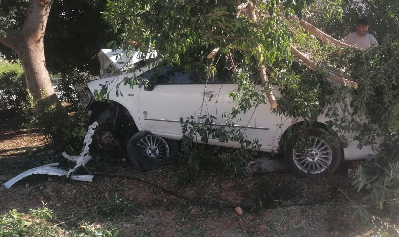 Mersin'de Otomobil Ağaca Vurdu: Sürücü Yaralı Kurtuldu - Sayfa 3