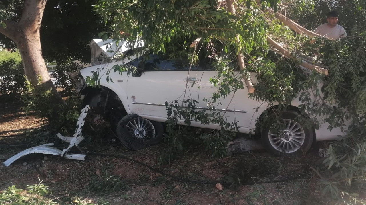 Mersin'de Otomobil Ağaca Vurdu: Sürücü Yaralı Kurtuldu