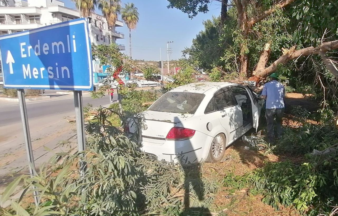Mersin'de Otomobil Ağaca Vurdu: Sürücü Yaralı Kurtuldu - Sayfa 1