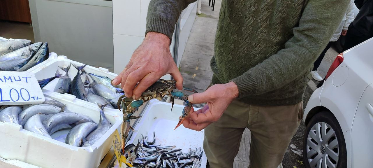 Sinop'ta Balıkçıların Ağına Nadir Mavi Yengeç Takıldı - Sayfa 1