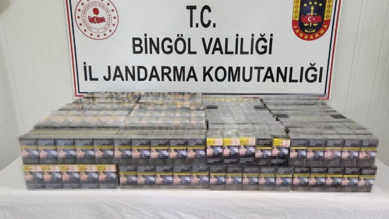 Bingöl'de Kaçak Kazı ve Sigara Operasyonu: İki Gözaltı