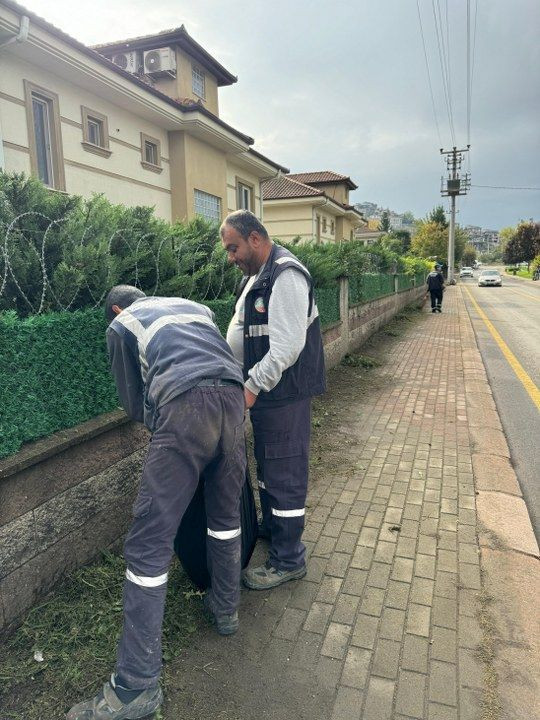 Serdivan'da Temizlik Seferberliği Devam Ediyor - Sayfa 6