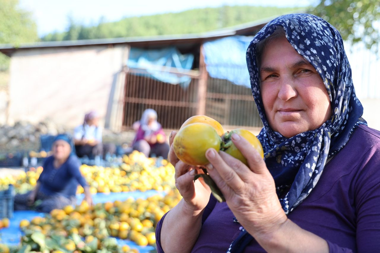 Yaş hurma 20, kurusu 200 lira - Sayfa 9