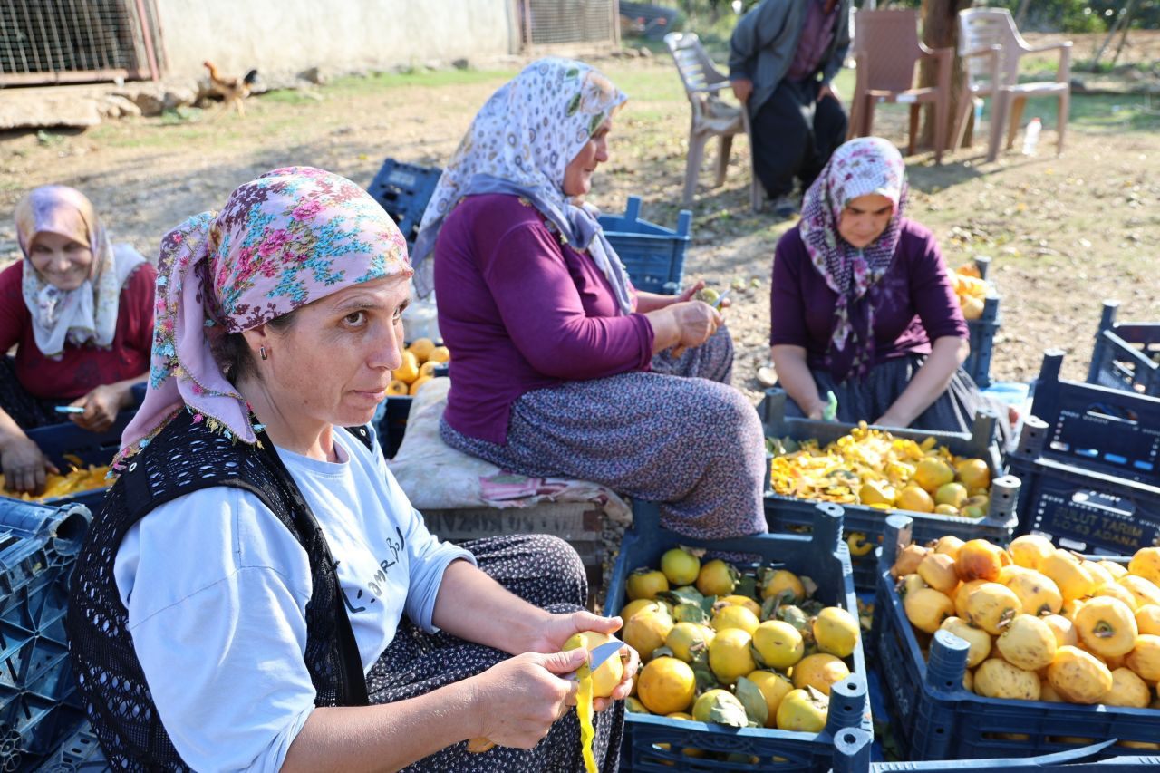 Yaş hurma 20, kurusu 200 lira - Sayfa 1