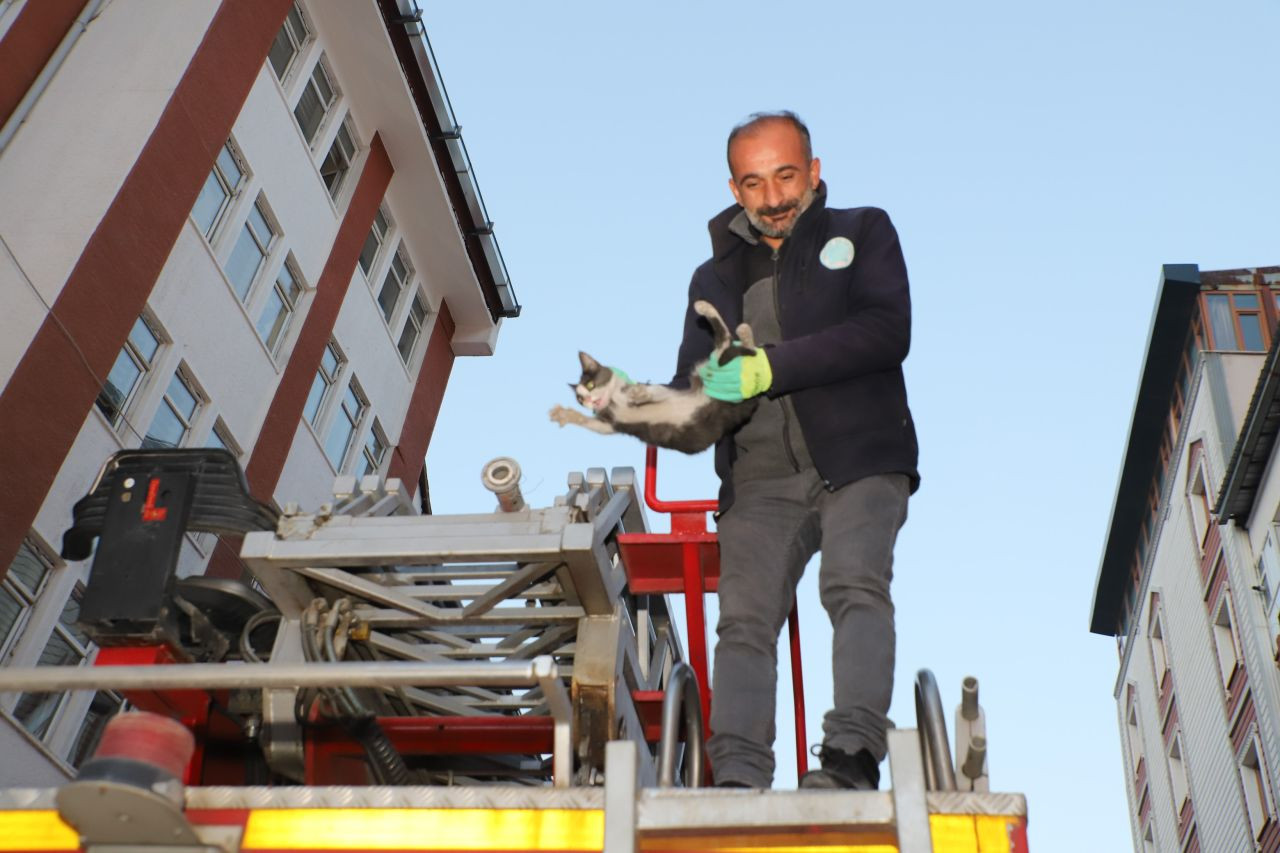 Hakkari’de 4 katlı binada mahsur kalan yavru kedi kurtarıldı - Sayfa 3