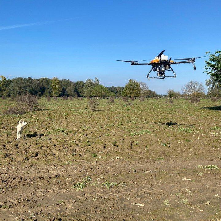 Selde hasar gören mera dron ile tohumlandı - Sayfa 4