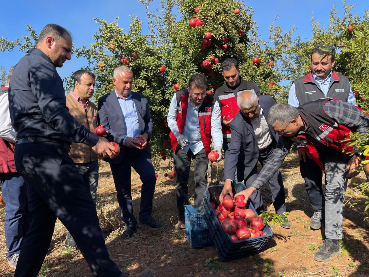 Şanlıurfa'nın Hicaz Narı: Dünya Pazarına Açılan Lezzet! - Sayfa 6