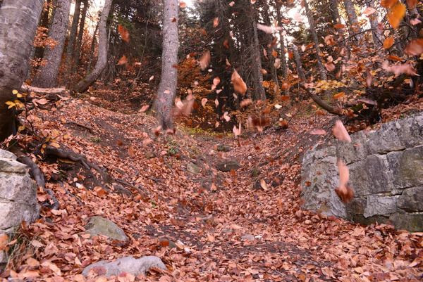 Uludağ'dan Yürek Isıtan Sonbahar Manzaraları - Sayfa 6