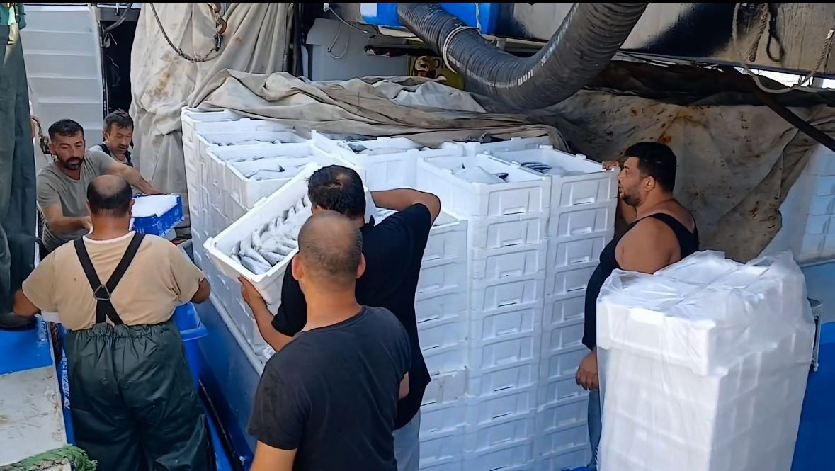 "Kestane Karası" Bitti: Tekneler Karadeniz'e Açıldı - Sayfa 7