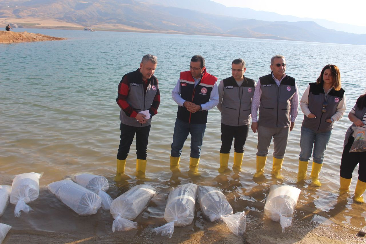 Siirt'te 2 Milyon Balık Yavrusu Baraj Göllerine Bırakıldı! - Sayfa 4