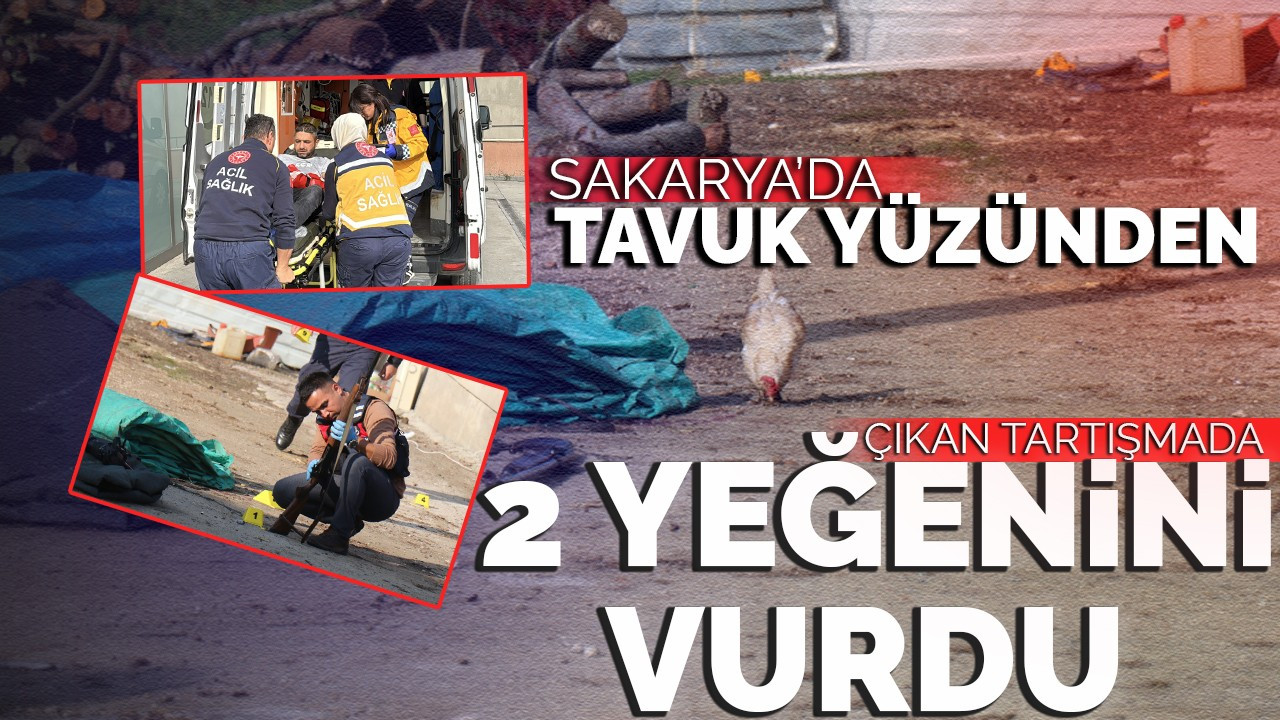 Sakarya'da tavuk yüzünden çıkan tartışmada iki yeğenini tüfekle vurdu