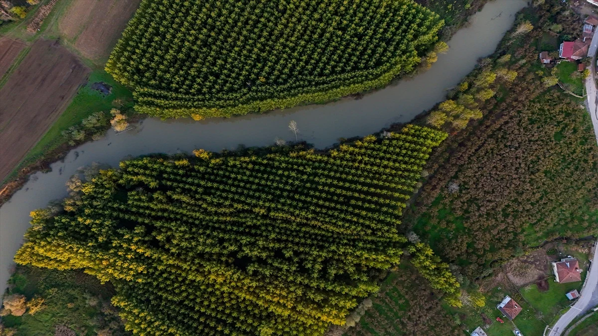 Düzce'de Melen Çayı Havzası Sonbahar Renklerine Büründü - Sayfa 11