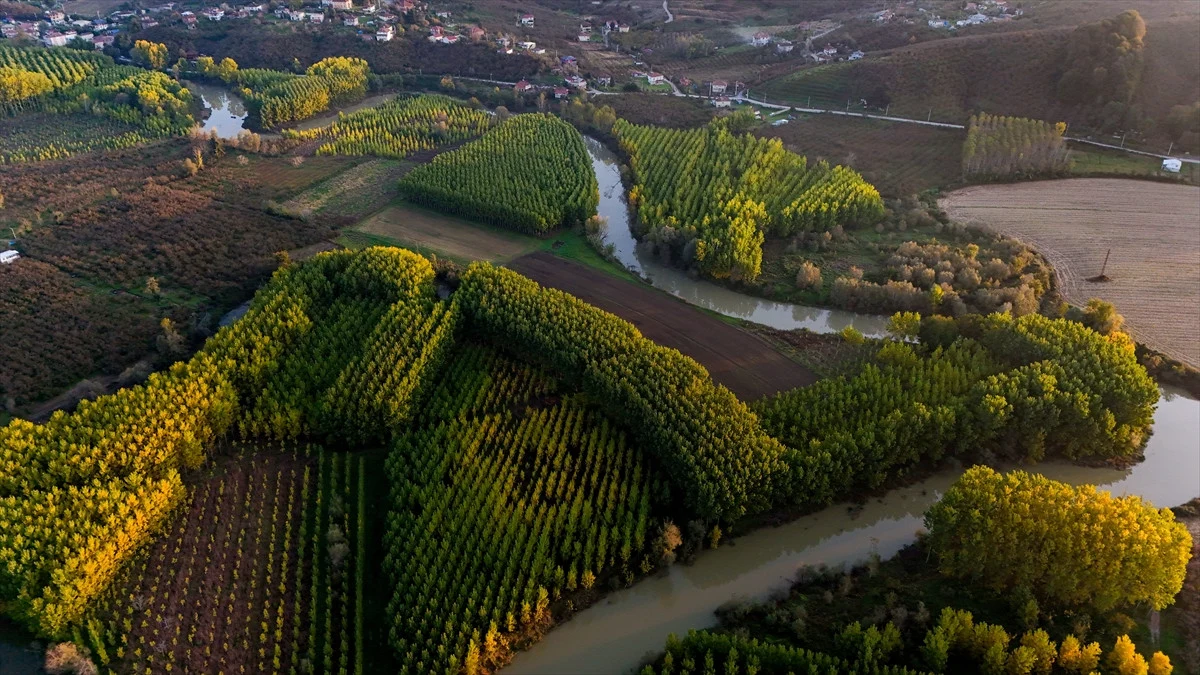 Düzce'de Melen Çayı Havzası Sonbahar Renklerine Büründü - Sayfa 18