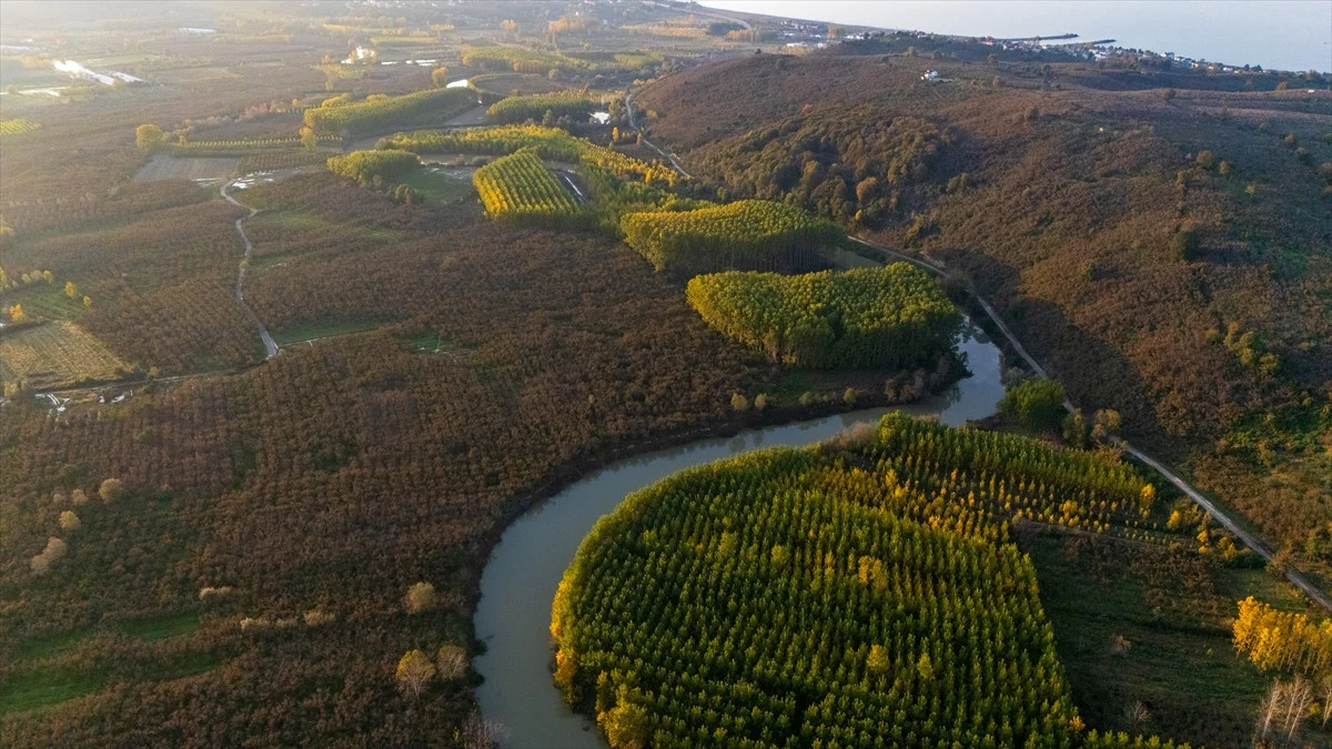 Düzce'de Melen Çayı Havzası Sonbahar Renklerine Büründü - Sayfa 9