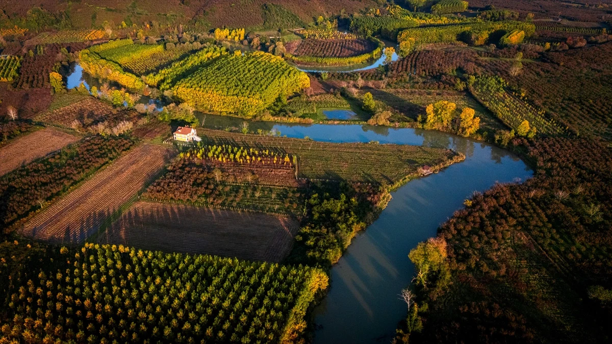 Düzce'de Melen Çayı Havzası Sonbahar Renklerine Büründü - Sayfa 10