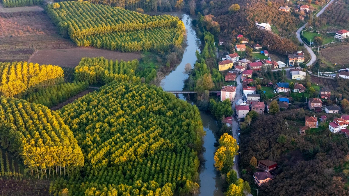 Düzce'de Melen Çayı Havzası Sonbahar Renklerine Büründü - Sayfa 5