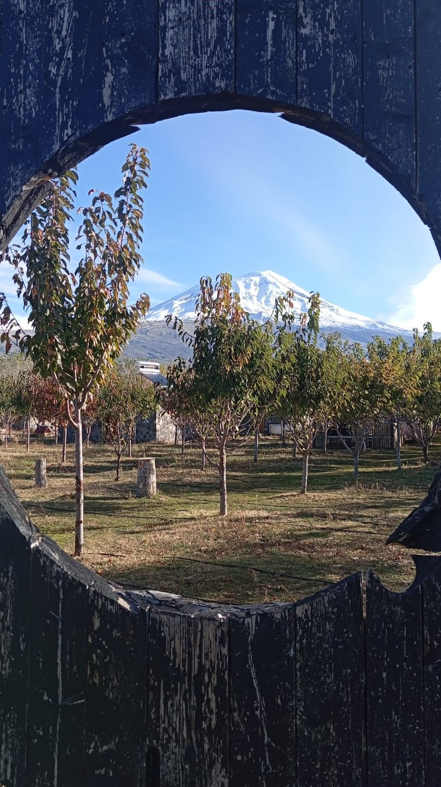 Ağrı Dağı'nın büyüleyici kar manzarası! - Sayfa 8