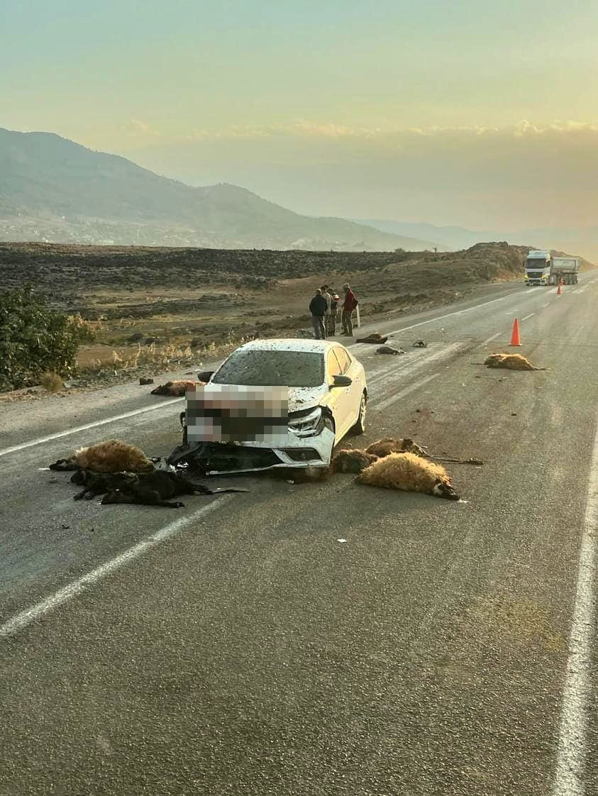 Hayvan sürüsünün içine dalan otomobil 17 hayvanı telef etti! - Sayfa 2