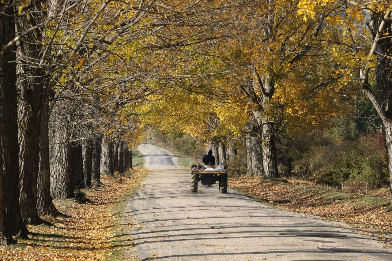 Bolu'daki aşıklar yolu yeni evlenen çiftlerin uğrak noktası - Sayfa 5