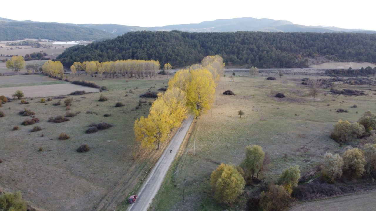 Bolu'daki aşıklar yolu yeni evlenen çiftlerin uğrak noktası - Sayfa 4