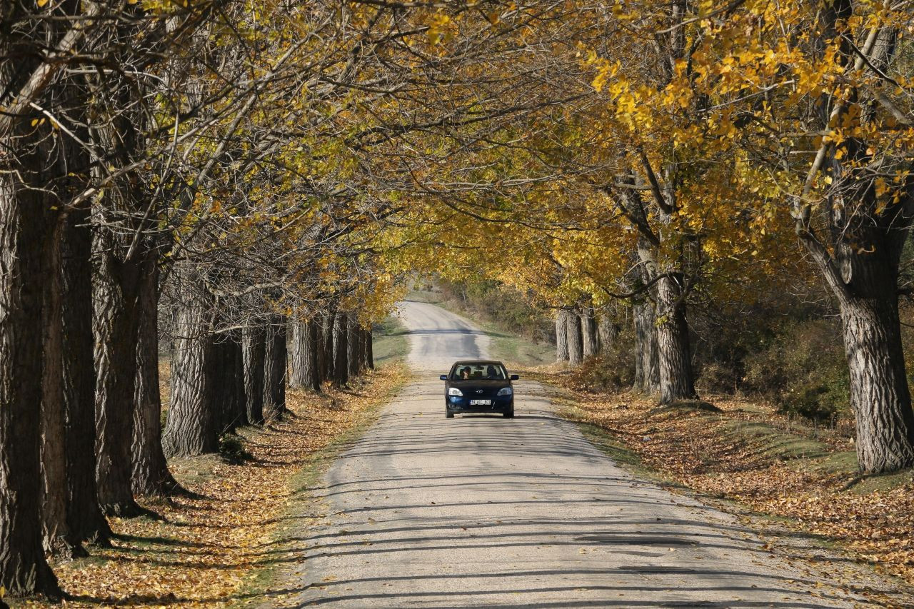 Bolu'daki aşıklar yolu yeni evlenen çiftlerin uğrak noktası - Sayfa 2