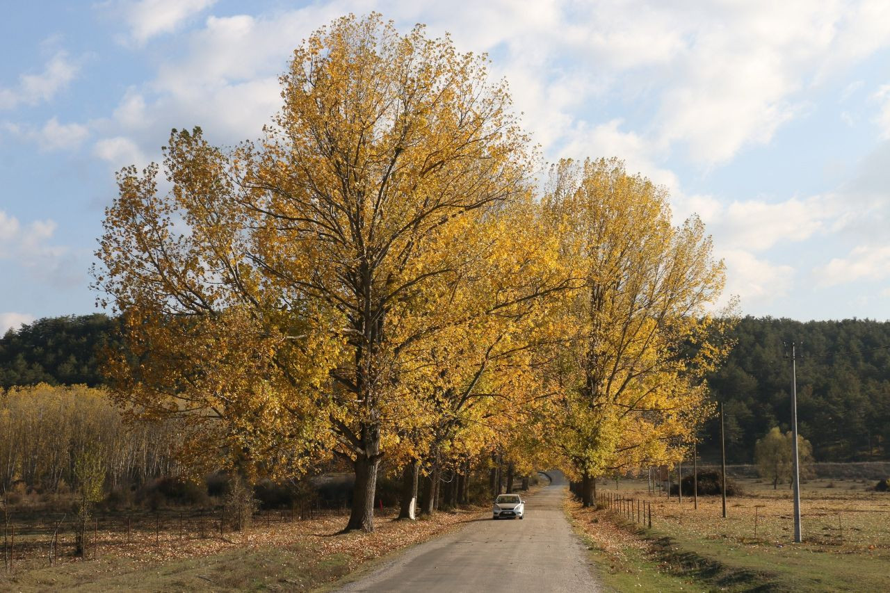 Bolu'daki aşıklar yolu yeni evlenen çiftlerin uğrak noktası - Sayfa 1