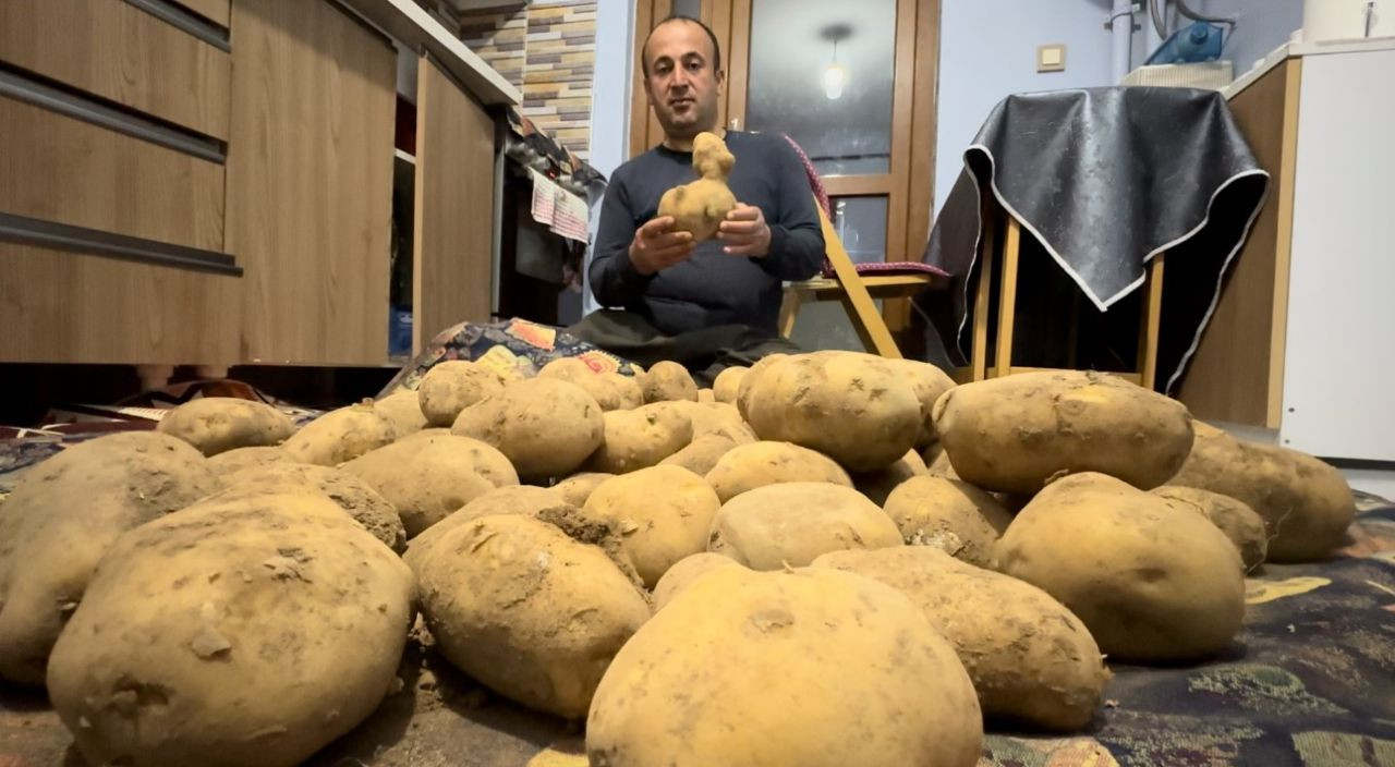 Hakkari'de satın aldığı patates çuvalından ördek çıktı! - Sayfa 4