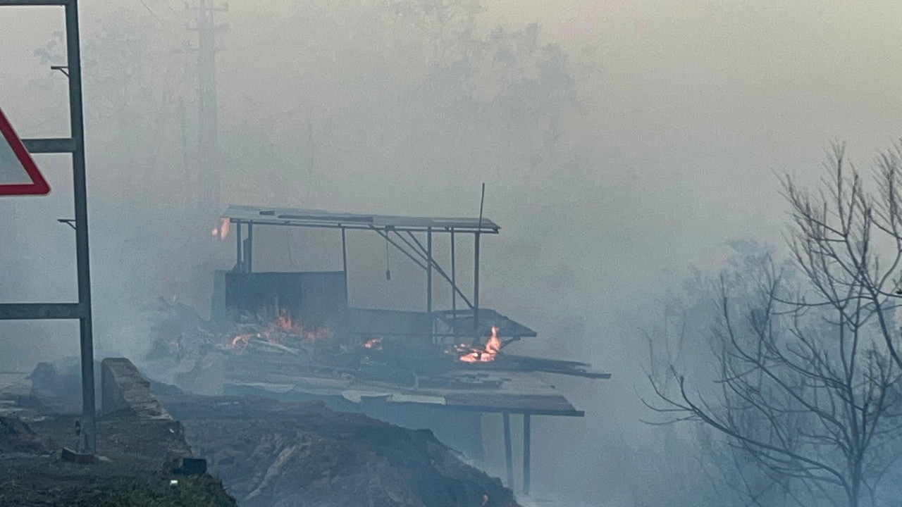 Hatay’da orman yangını evlere sıçradı