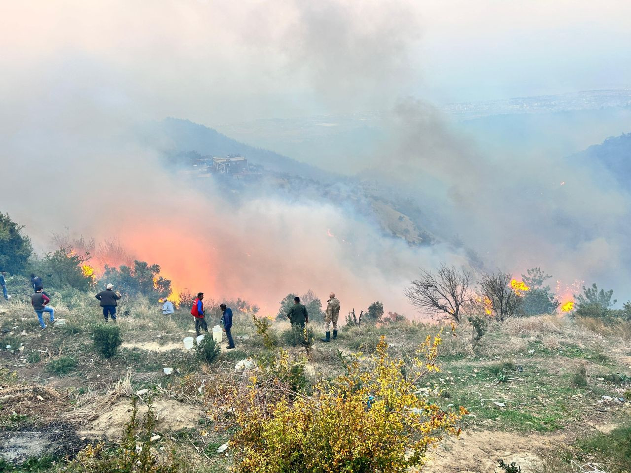 Hatay Arsuz’daki Yangın Evleri Sardı: Çevre İllerden Destek Talebi - Sayfa 2