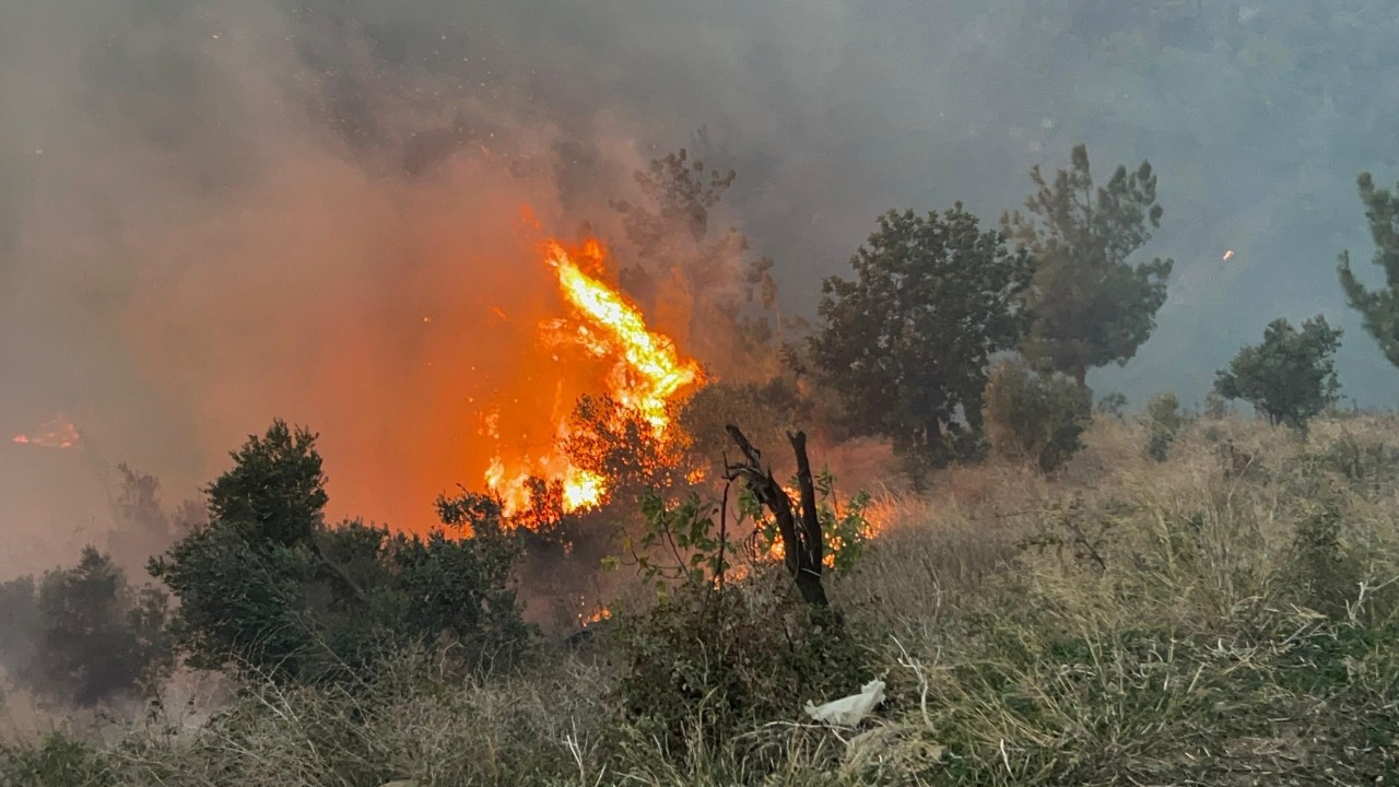 Hatay Arsuz’daki Yangın Evleri Sardı: Çevre İllerden Destek Talebi