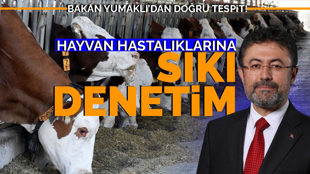 Bakan Yumaklı'dan doğru tespit! Hayvan hastalıklarına sıkı denetim