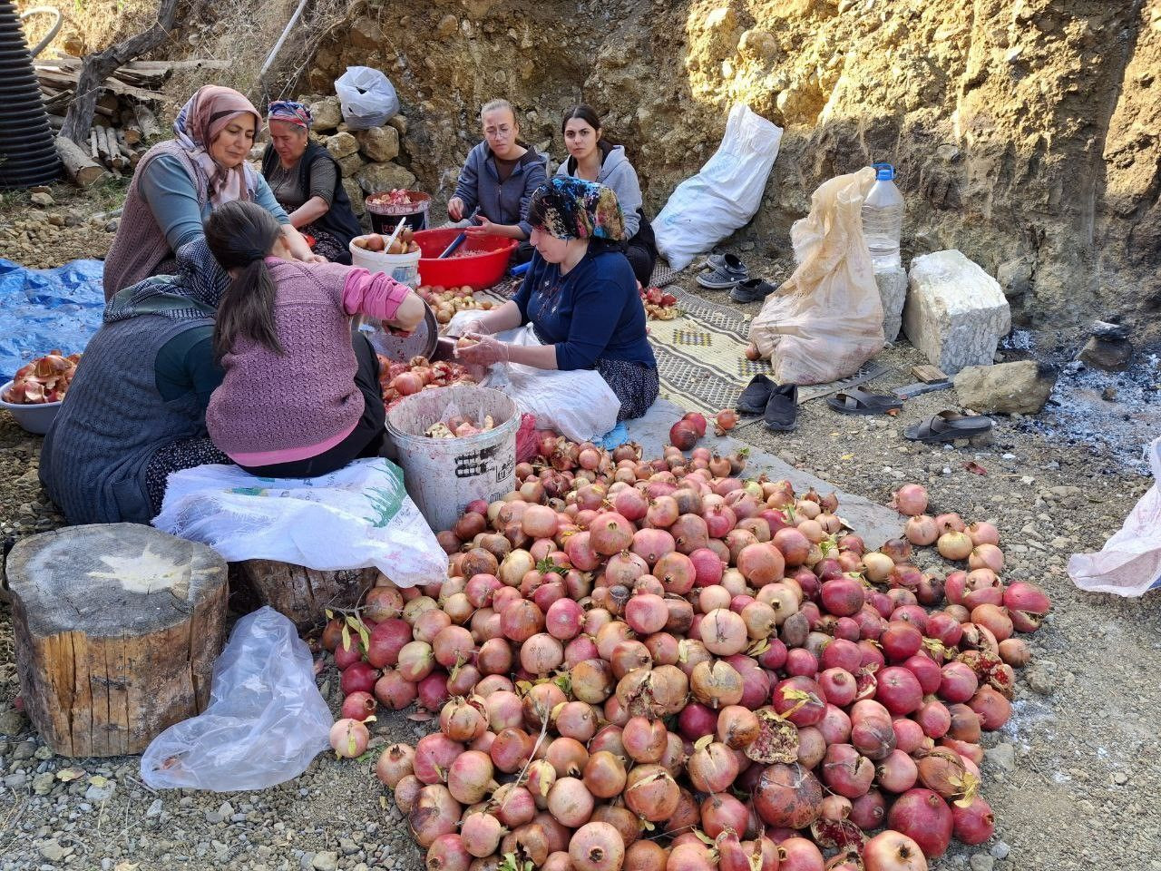 "Döve Döve Nar Ekşisi" Mesaisi Başladı - Sayfa 6