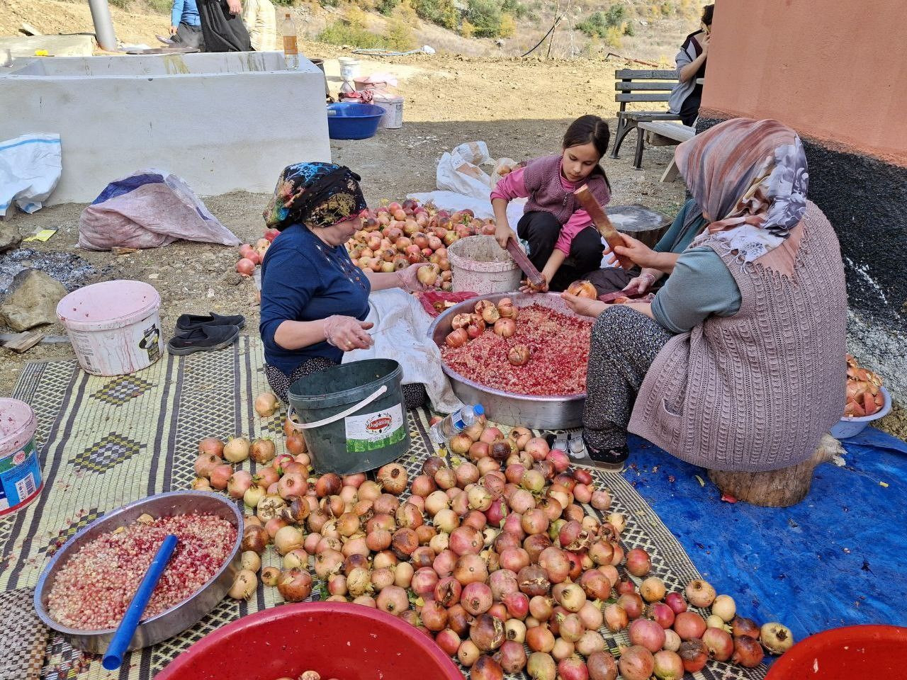 "Döve Döve Nar Ekşisi" Mesaisi Başladı - Sayfa 1