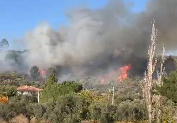 Muğla'daki orman yangını, söndürme çalışmaları sürüyor - Sayfa 3