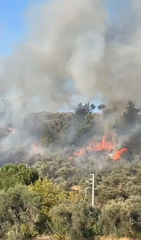 Muğla'daki orman yangını, söndürme çalışmaları sürüyor - Sayfa 1