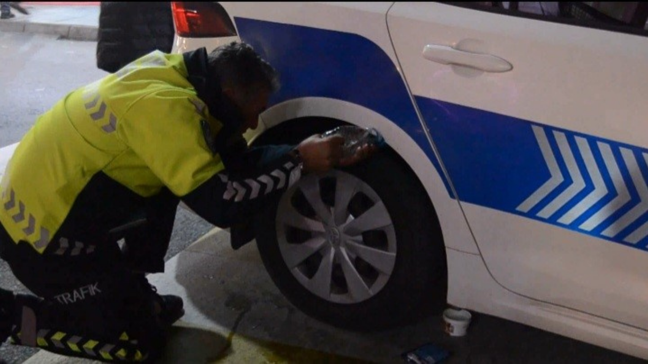 Giresun’da Polis Aracına Giren Kedi İçin Ekipler Seferber Oldu