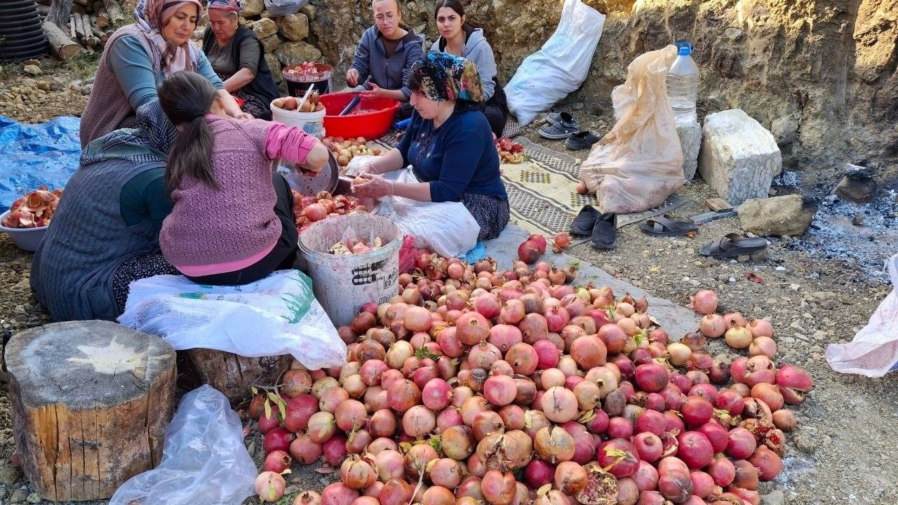 "Döve Döve Nar Ekşisi" Mesaisi Başladı