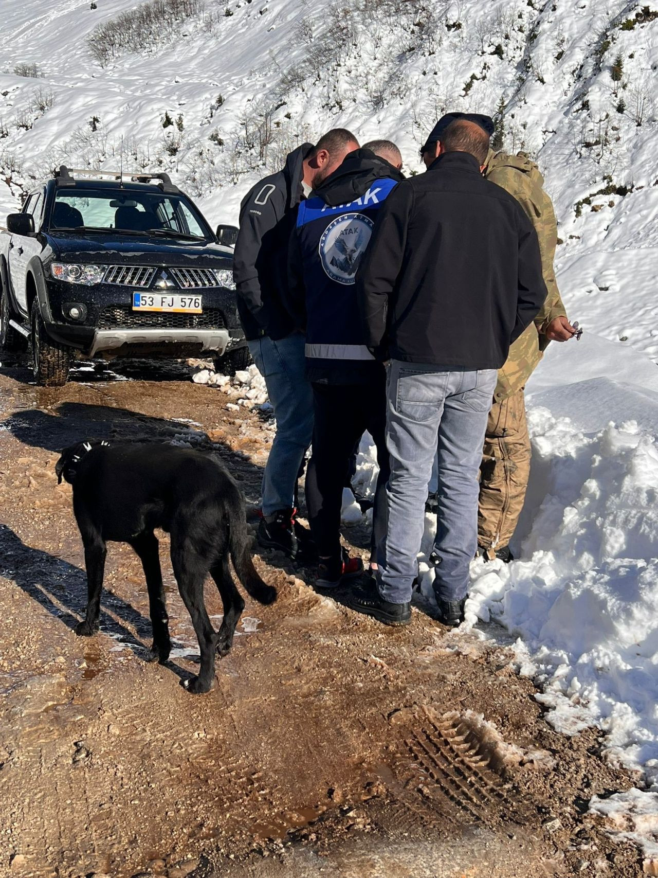 Ayı saldırdığı için ahırdan kaçan sürü 20 gündür Rize'nin karlı dağlarında aranıyor - Sayfa 2