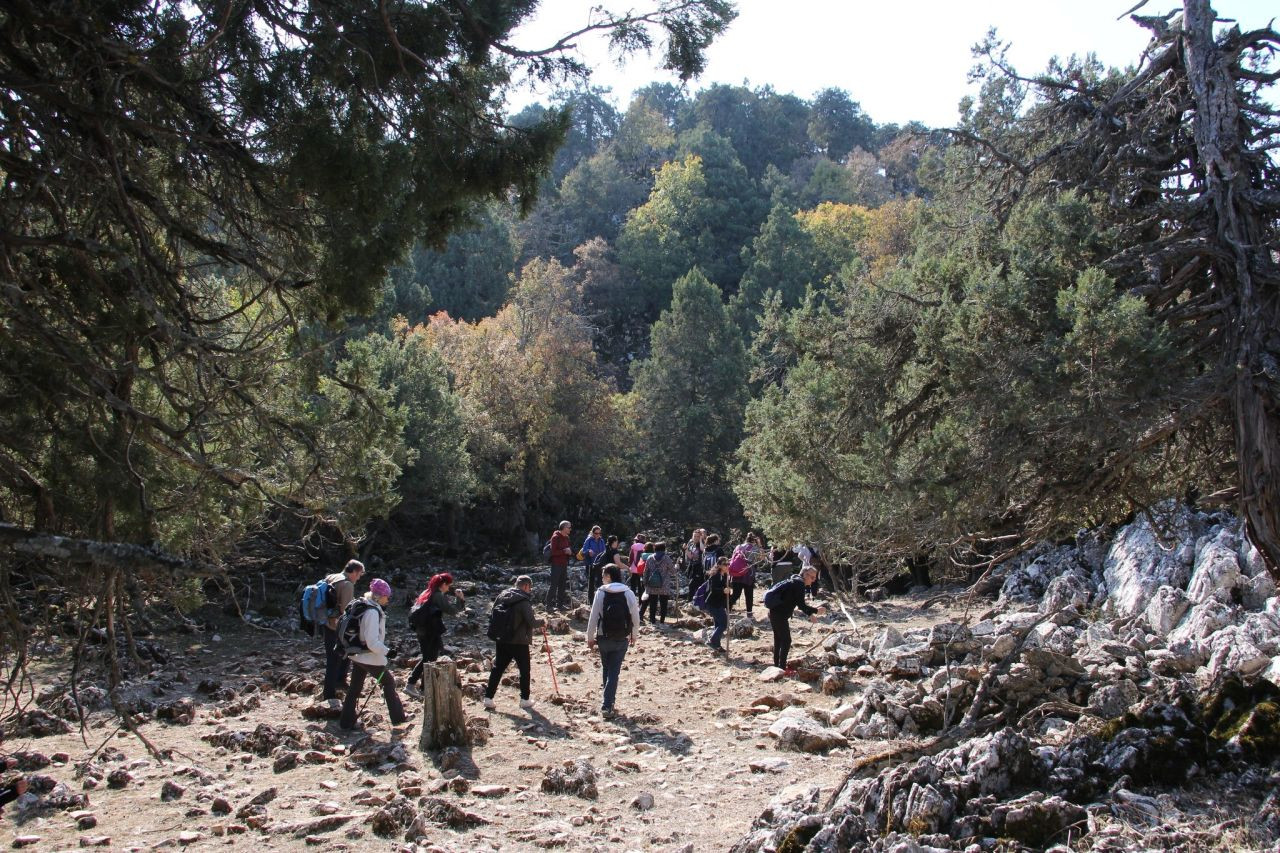 Beyşehir Gölündeki Hacıakif Adası doğa tutkunlarının ilgi odağı - Sayfa 1