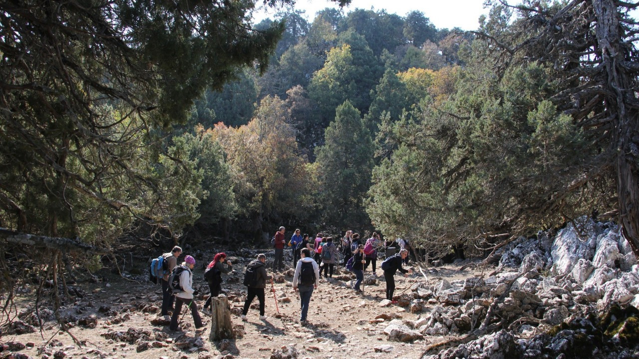 Beyşehir Gölündeki Hacıakif Adası doğa tutkunlarının ilgi odağı