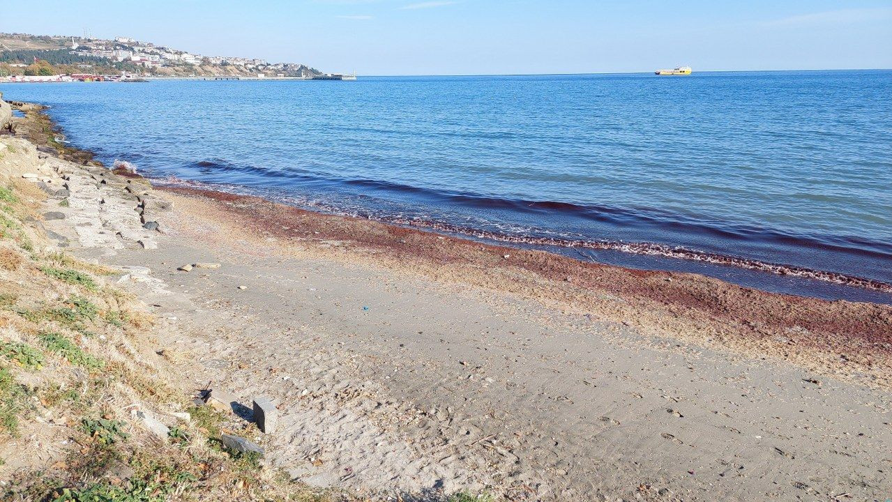 Tekirdağ'da kıyı kızıla boyandı - Sayfa 5