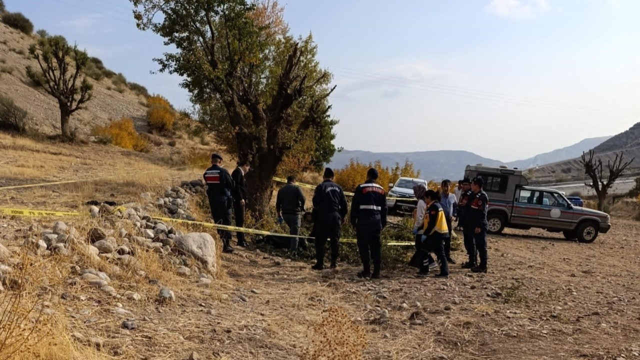 Ağaç Budarken Düşen 75 Yaşındaki Adam Hayatını Kaybetti