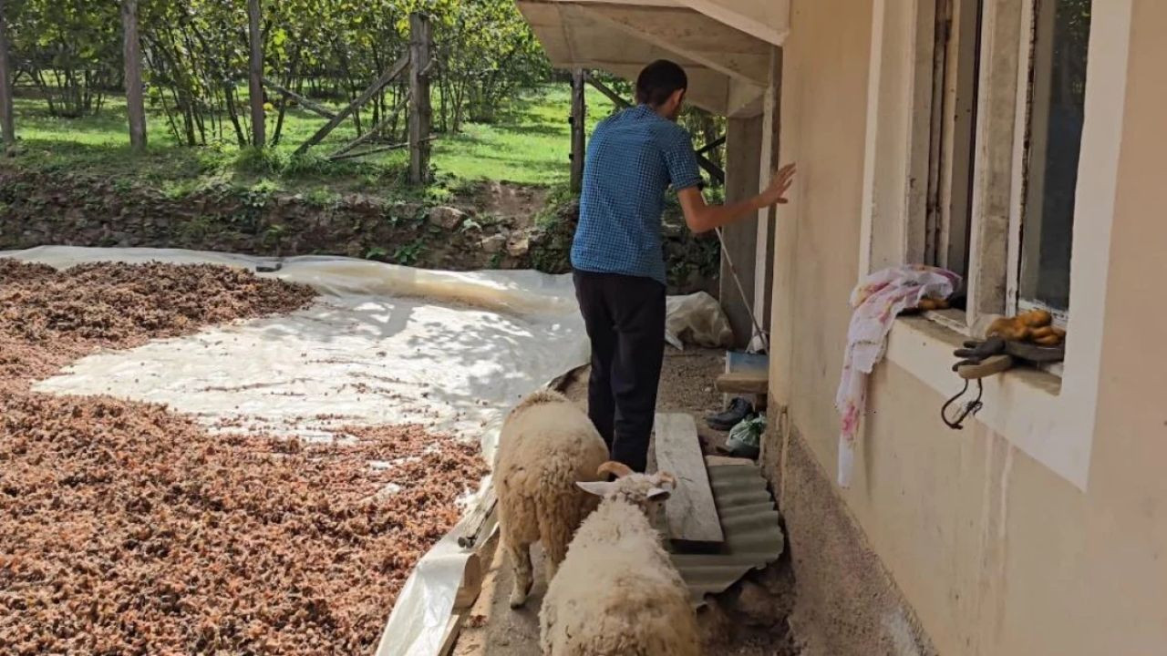 Çobanlık Yapan Görme Engelli Genç: 'Koyunlarım Beni Tanıyor' - Sayfa 3