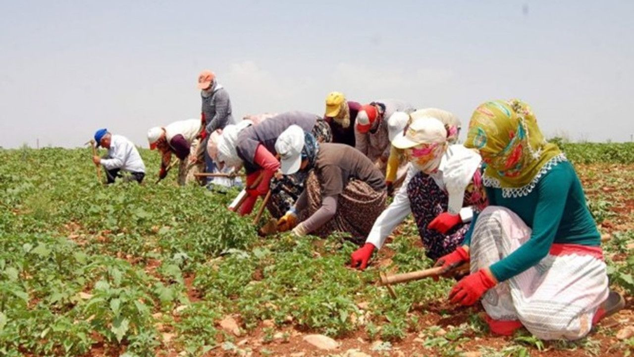 Nitelikli Personel Sorunu Derinleşiyor: Çözüm Yabancı İşçilerde - Sayfa 4