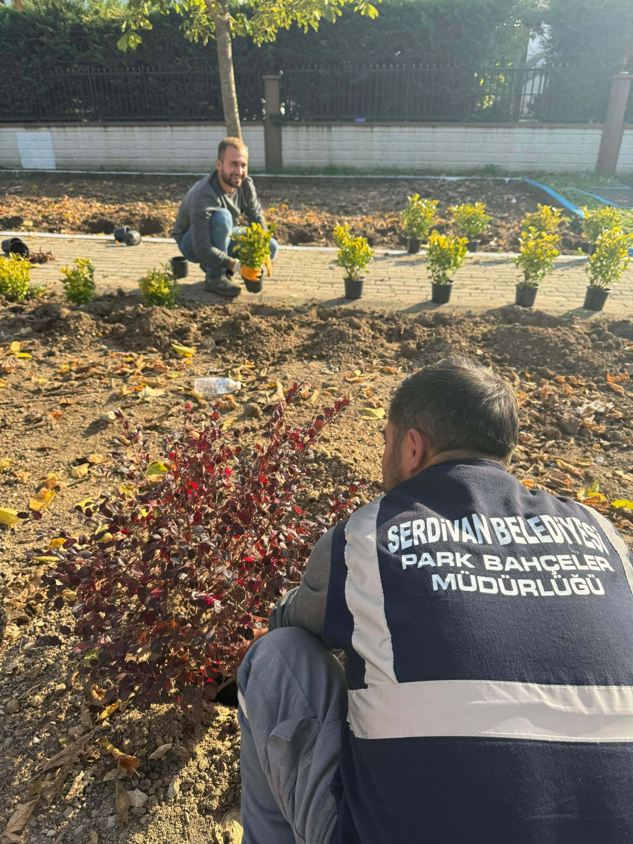 Serdivan’da Yeni Peyzaj Düzenlemesi Yapıldı - Sayfa 5