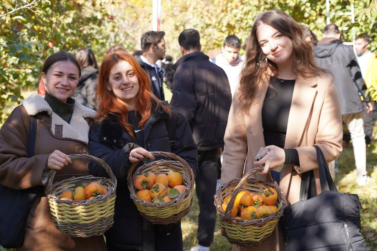 "Bilecik’te Hurma Mucizesi: 6 Yıl Sonra İlk Meyvelerini Verdi!" - Sayfa 2