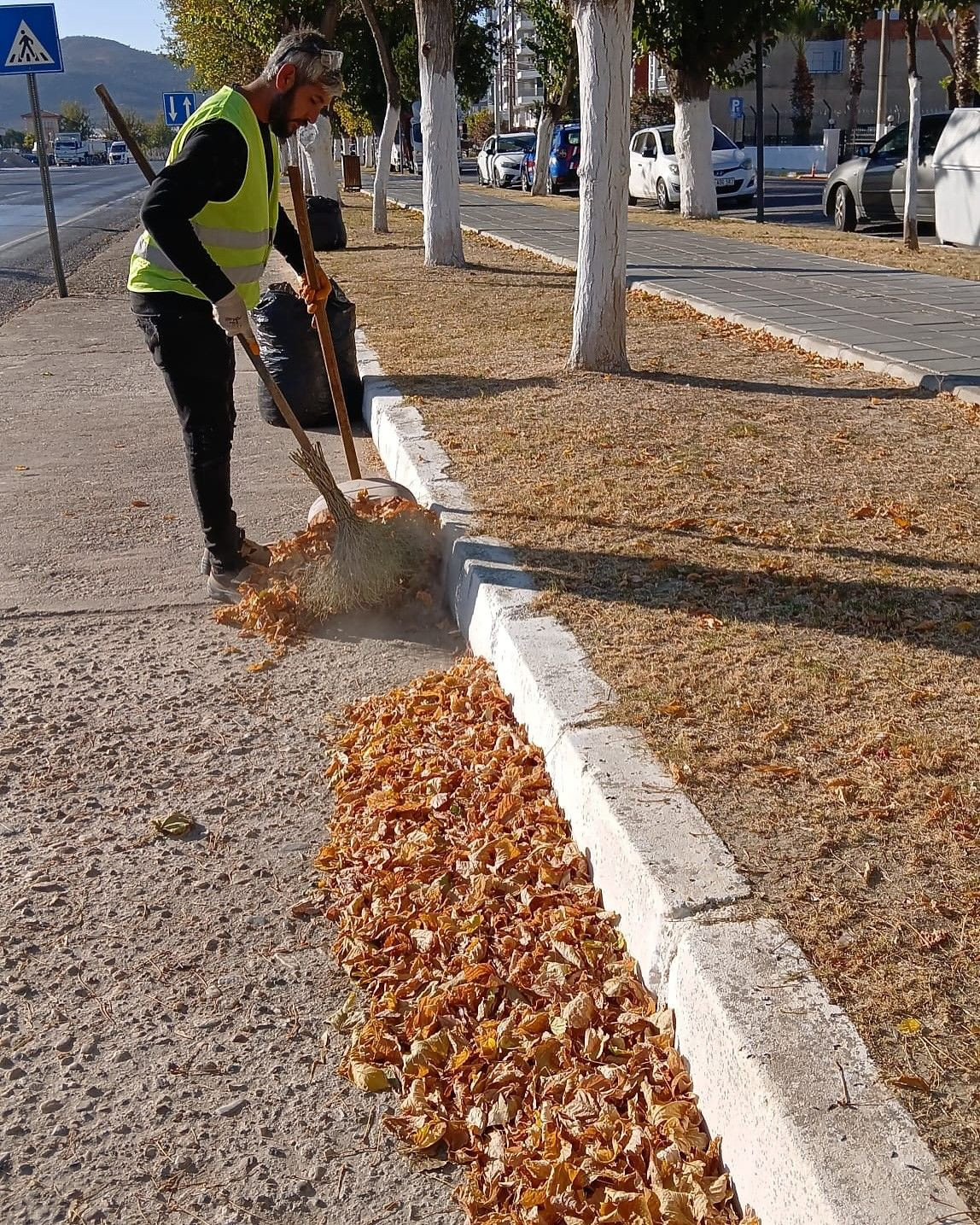 Germencik'te Sonbahar Temizliği: Sokaklar Daha Düzenli Hale Getirildi - Sayfa 1