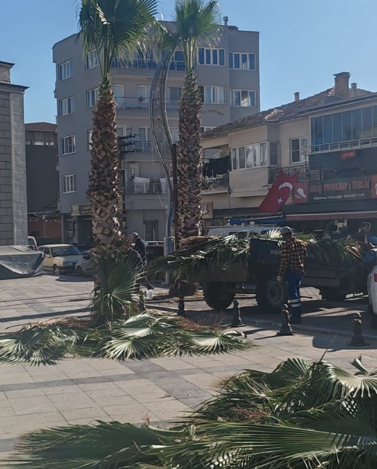 Germencik'te Sonbahar Temizliği: Sokaklar Daha Düzenli Hale Getirildi - Sayfa 3