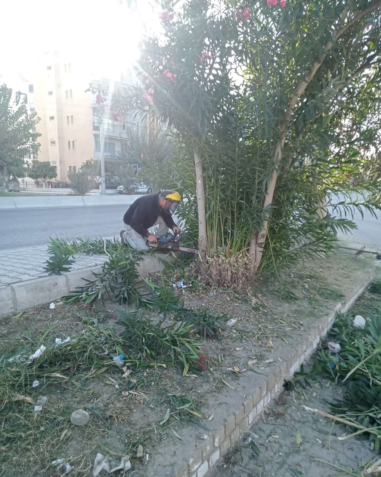 Germencik'te Sonbahar Temizliği: Sokaklar Daha Düzenli Hale Getirildi - Sayfa 6