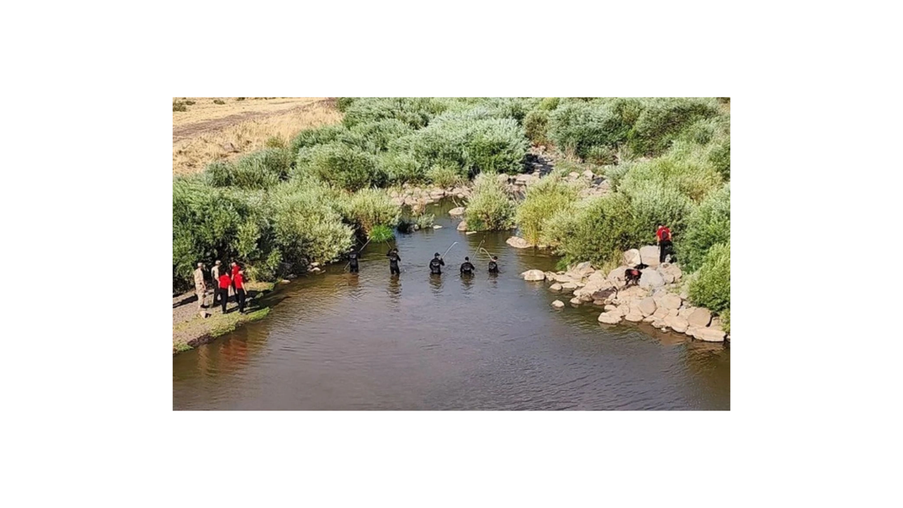 Narin cinayetinde Nevzat Bahtiyar’dan şok itiraf! Salim, 'Annesi ile cinsel ilişkiye girerken Narin gördü...' - Sayfa 13